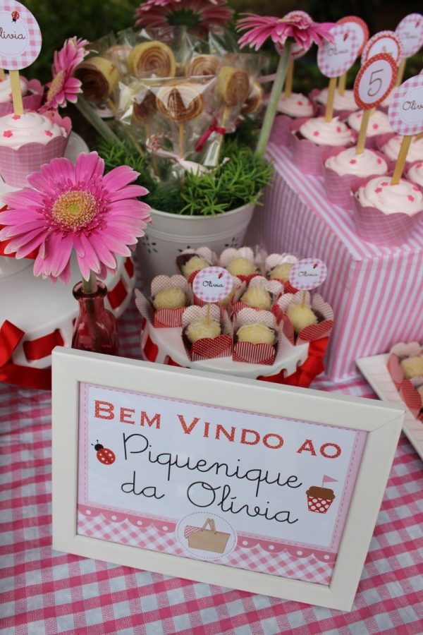 Piquenique da Olívia