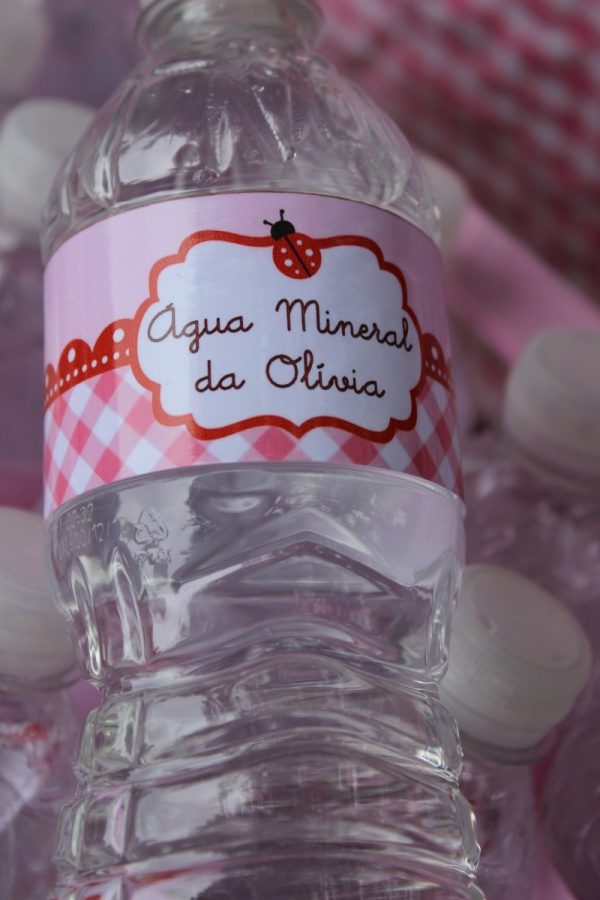 Piquenique da Olívia