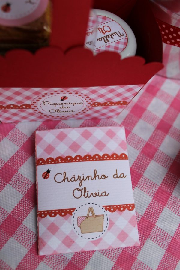 Piquenique da Olívia