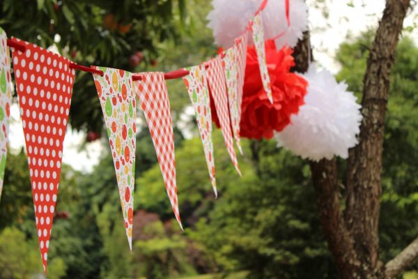 Festa Piquenique