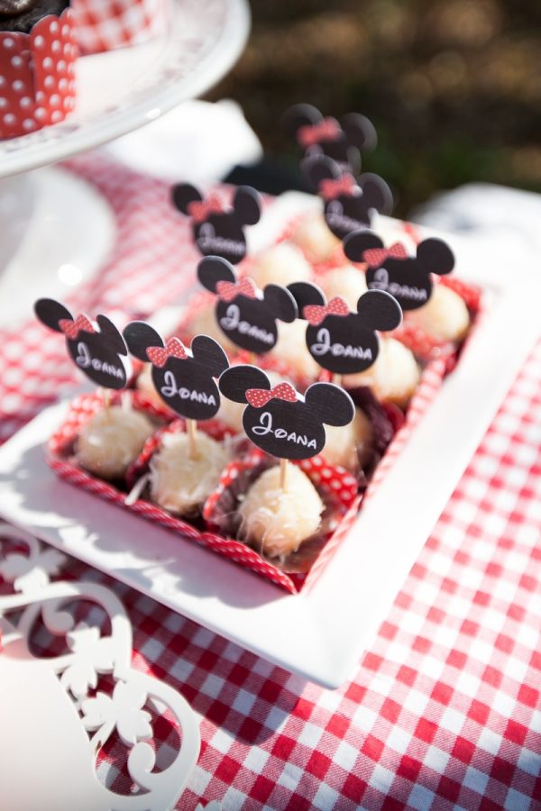 Piquenique da Minnie e do Mickey