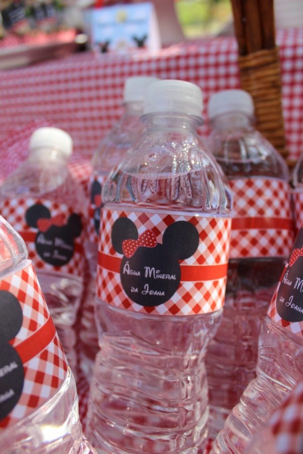 Piquenique da Minnie e do Mickey