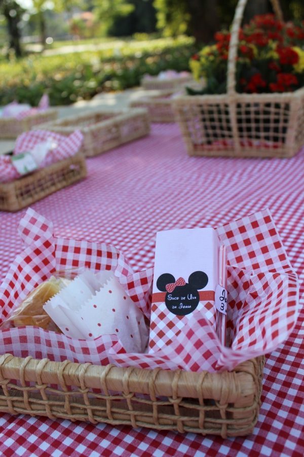 Piquenique da Minnie e do Mickey