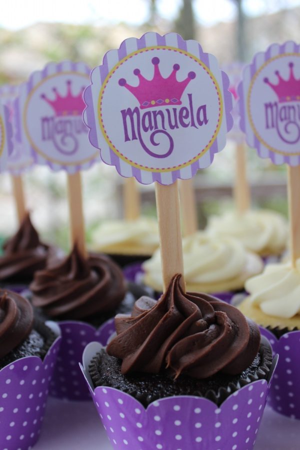 Festa Rapunzel (Enrolados)