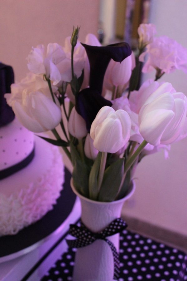 Festa Black & White