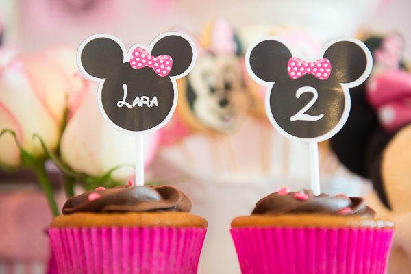 Festa Minnie Rosa