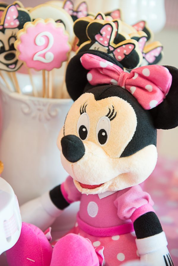 Festa Minnie Rosa