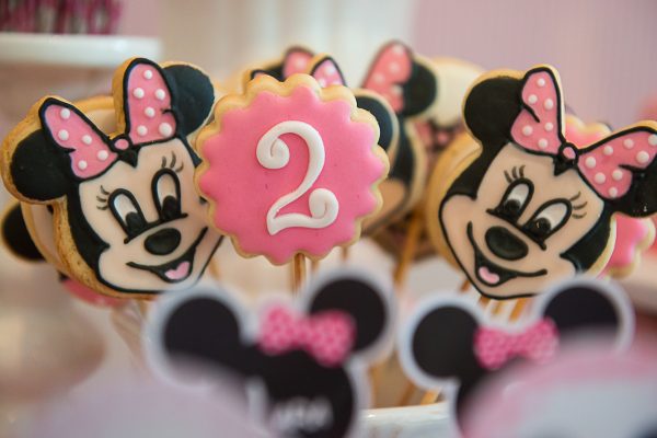 Festa Minnie Rosa