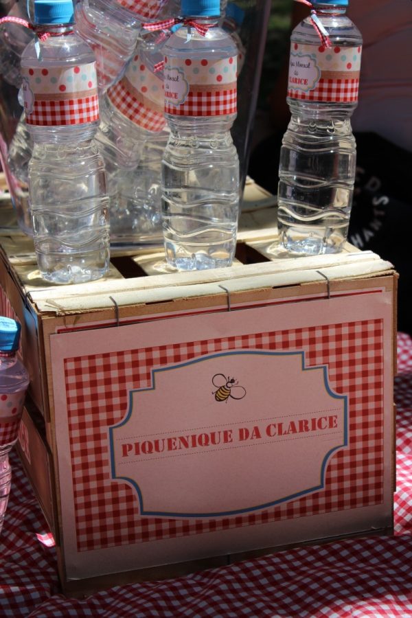 Piquenique da Clarice