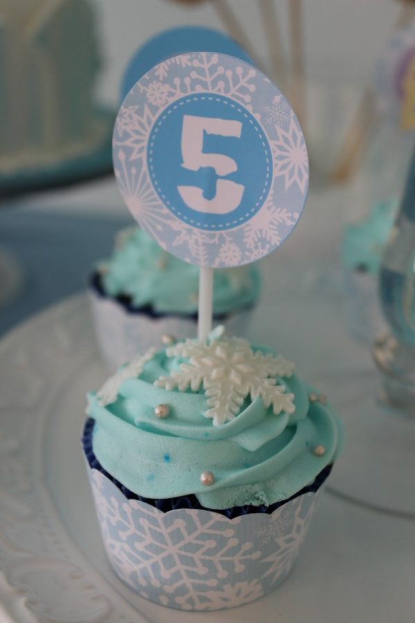 Festa Frozen