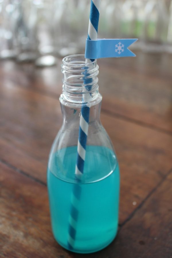 Festa Frozen