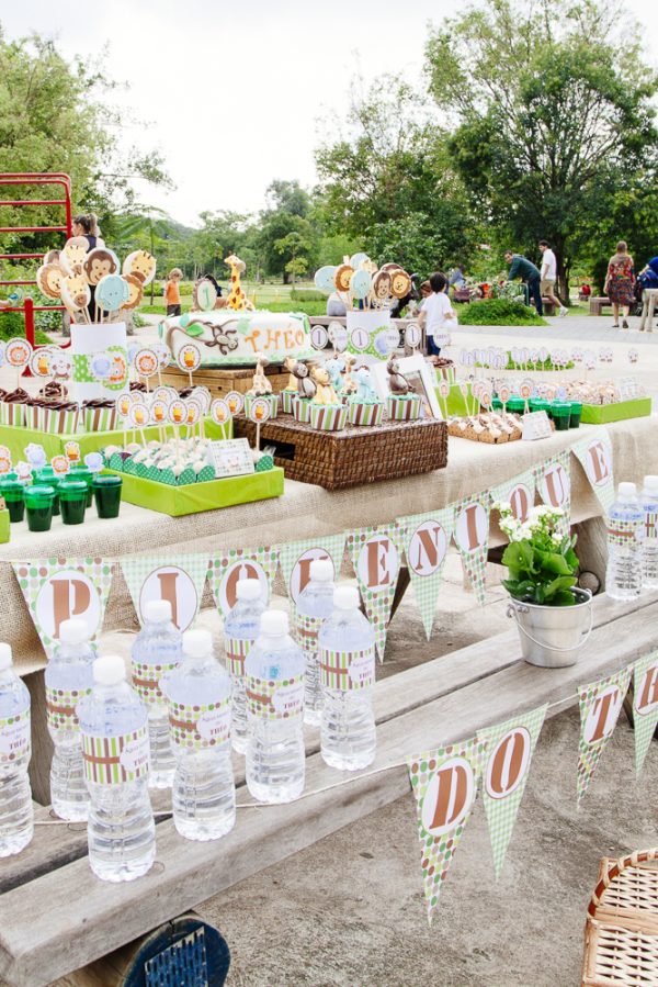 Picnic Safari