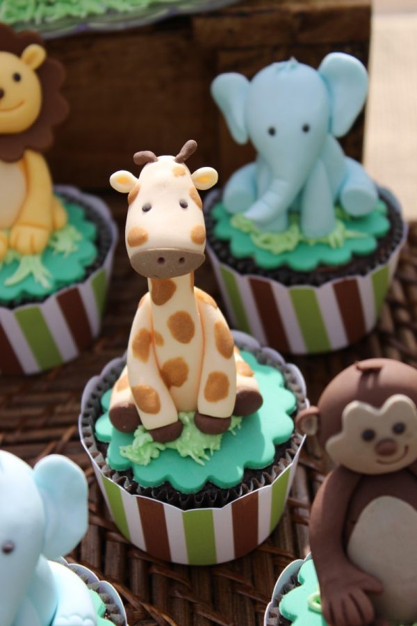 Picnic Safari