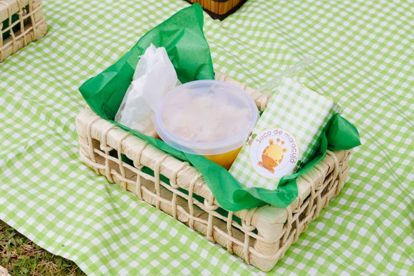 Picnic Safari