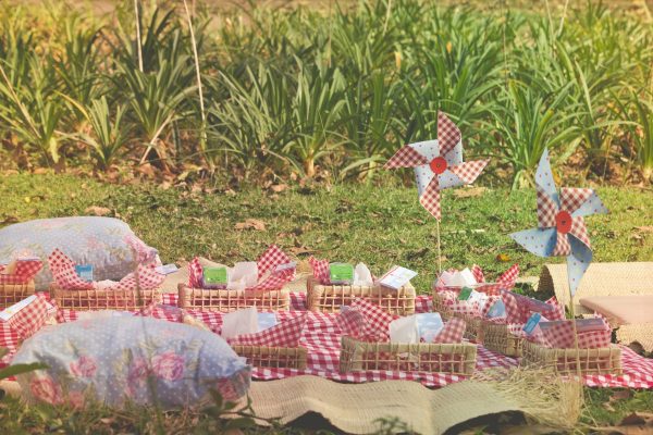 Picnic da Peppa Pig