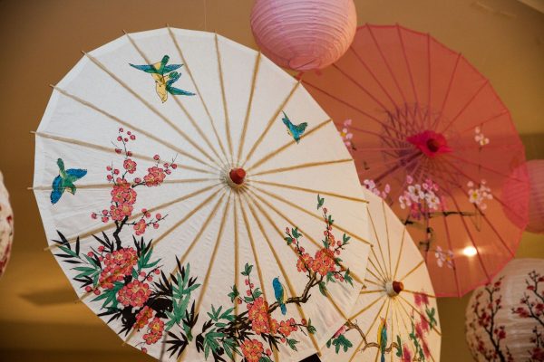 Festa Cherry Blossom – Cerejeira