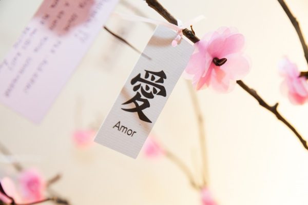 Festa Cherry Blossom – Cerejeira