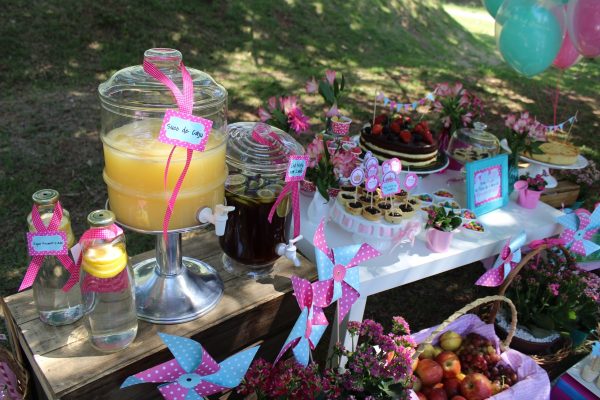 Picnic de 5 anos da Revista Incluir
