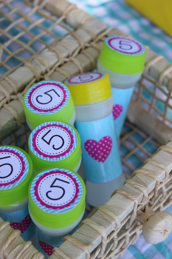 Picnic de 5 anos da Revista Incluir