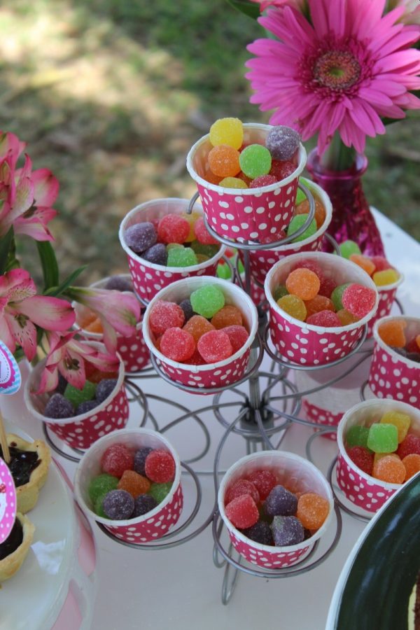 Picnic de 5 anos da Revista Incluir