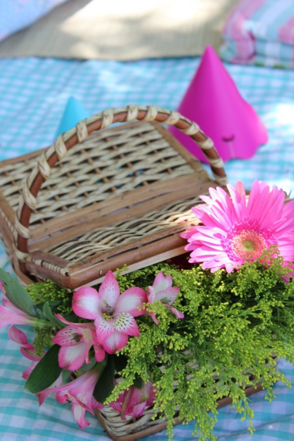Picnic de 5 anos da Revista Incluir