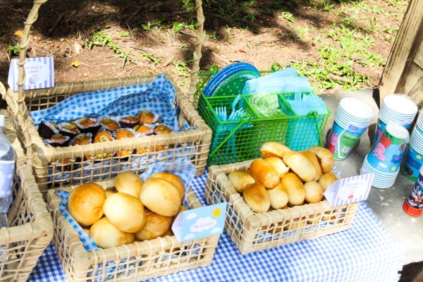 Picnic do George Pig