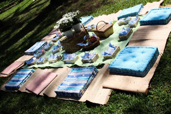 Picnic do George Pig