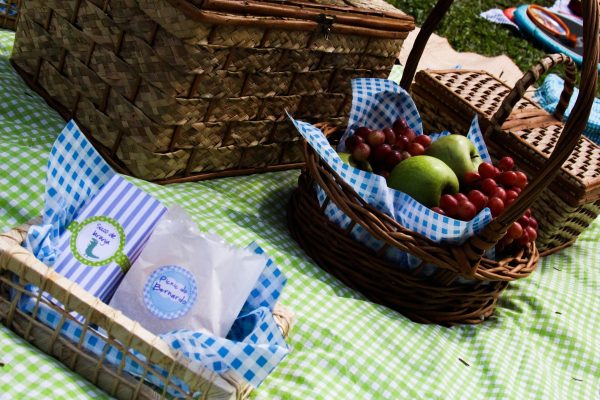 Picnic do George Pig
