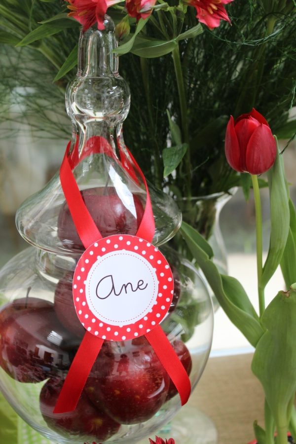 Festa Chapeuzinho Vermelho