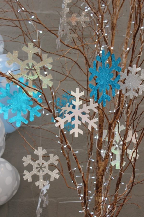 Festa Frozen