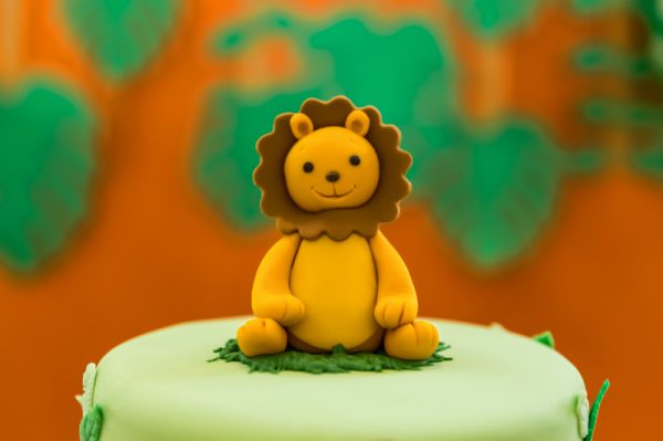 Festa Bichinhos da Floresta