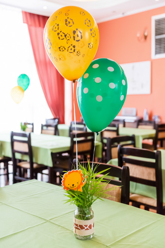 Festa Bichinhos da Floresta