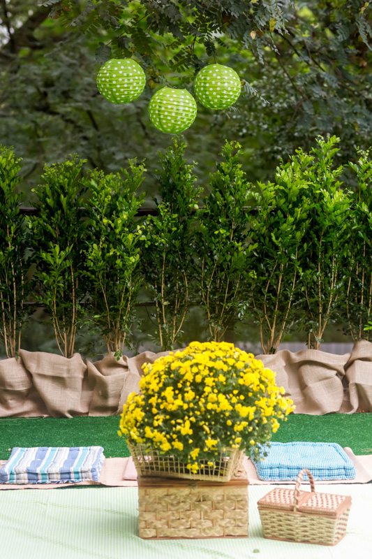 Festa Bichinhos da Floresta