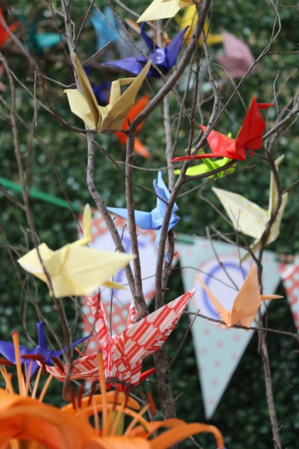 Jardim de Tsurus