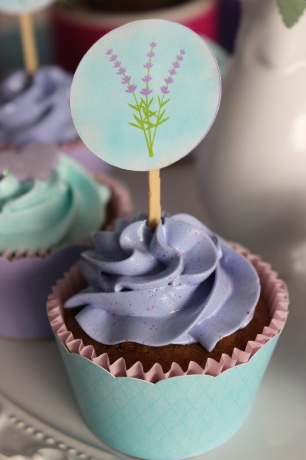 Festa Corações e Lavanda