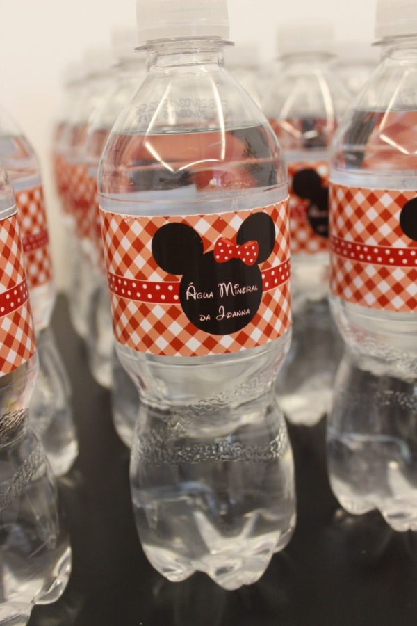 Picnic Minnie Vermelha