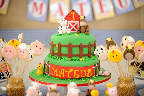 Festa Fazendinha do Mateus