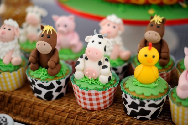 Festa Fazendinha do Mateus