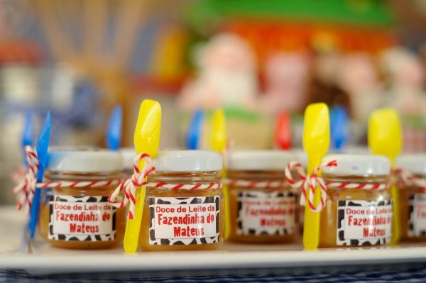Festa Fazendinha do Mateus