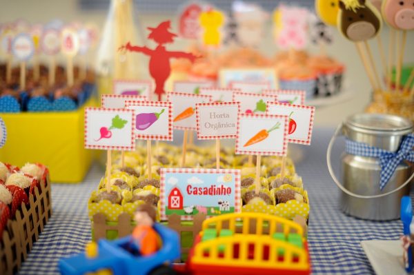 Festa Fazendinha do Mateus