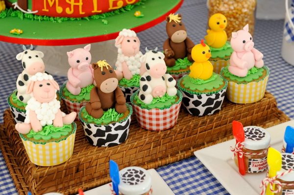 Festa Fazendinha do Mateus