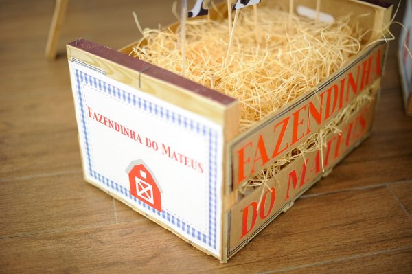 Festa Fazendinha do Mateus