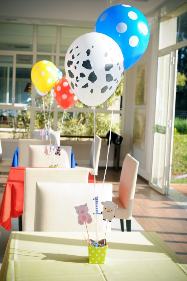 Festa Fazendinha do Mateus