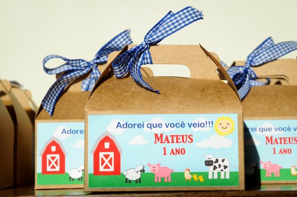 Festa Fazendinha do Mateus