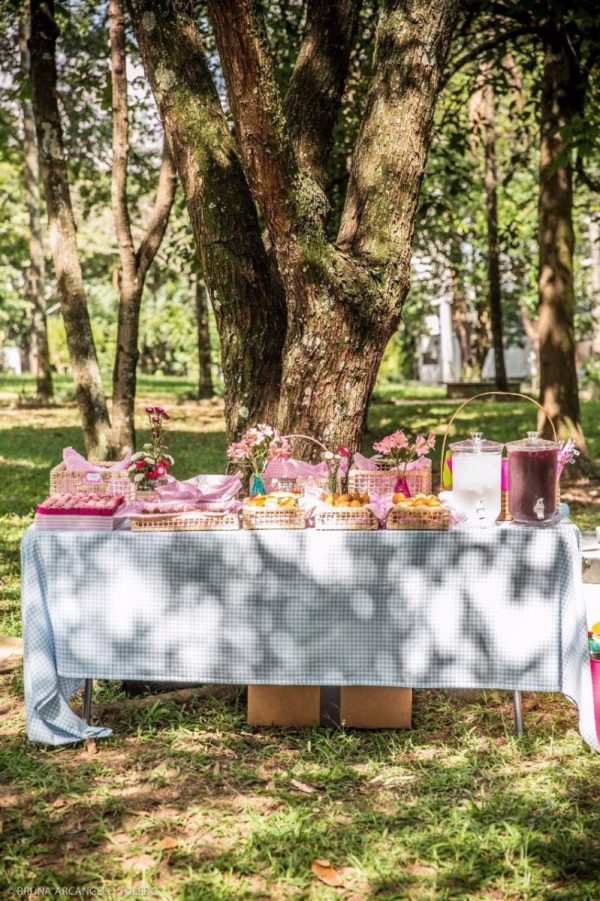 Picnic da Liz