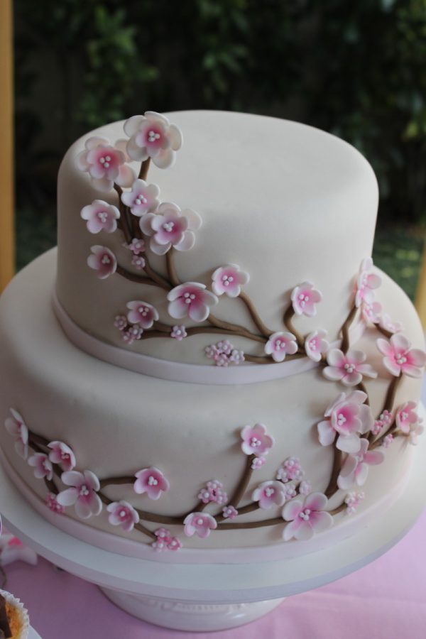 Festa Cerejeira – Cherry Blossom
