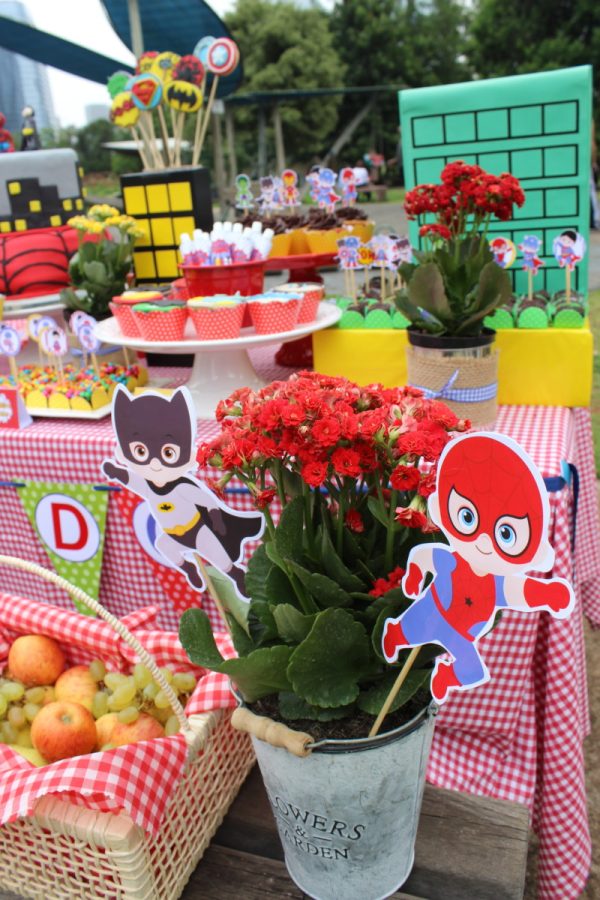 Picnic Super Heróis