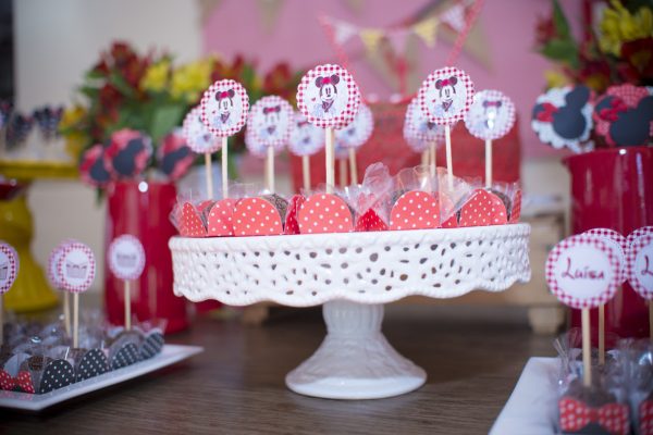 Picnic da Minnie