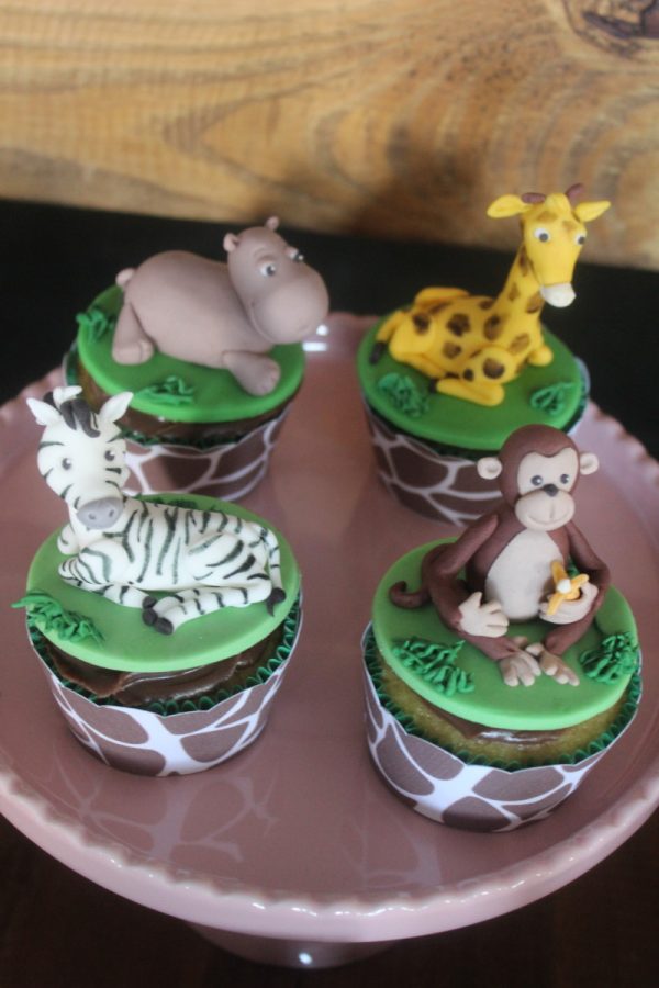 Festa Safari da Rafa