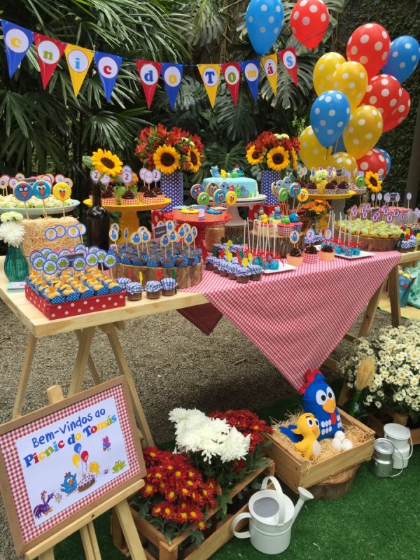 Picnic da Galinha Pintadinha